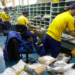 TST determina que os Correios mantenham pelo menos 80% do efetivo trabalhando durante a greve iniciada após impasse nas negociações trabalhistas.