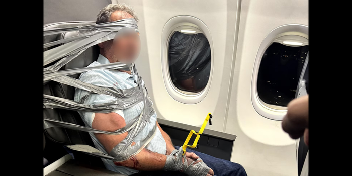 Passageiro de 67 anos foi imobilizado com fita adesiva após confusão em voo da American Airlines, que precisou desviar para Baltimore.