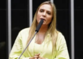 Distrito Federal reelege Celina Leão neste domingo (25). Saiba quem é a governadora e quais desafios enfrentará.