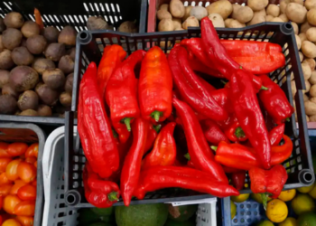  Feiras de alimentos orgânicos acontecem em diferentes pontos do Rio entre 13 e 18 de outubro, com destaque para a agricultura familiar e o protagonismo feminino.