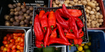  Feiras de alimentos orgânicos acontecem em diferentes pontos do Rio entre 13 e 18 de outubro, com destaque para a agricultura familiar e o protagonismo feminino.