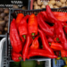  Feiras de alimentos orgânicos acontecem em diferentes pontos do Rio entre 13 e 18 de outubro, com destaque para a agricultura familiar e o protagonismo feminino.