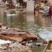 Relatório da Oxfam aponta que os 0,1% mais ricos emitem mais carbono que metade da população mundial e alerta para mortes e prejuízos causados pela crise climática.