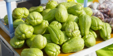 Sonhar com chuchu pode simbolizar alegria, união familiar e oportunidades. Descubra o significado de comer, cozinhar, servir ou colher chuchu nos sonhos.