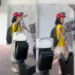 Mulher é denunciada após fazer gesto semelhante à saudação nazista no Colégio Santo Inácio, em Botafogo, durante o segundo turno das eleições de 2026.